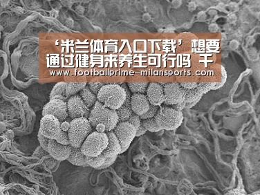 ‘米兰体育入口下载’想要通过健身来养生可